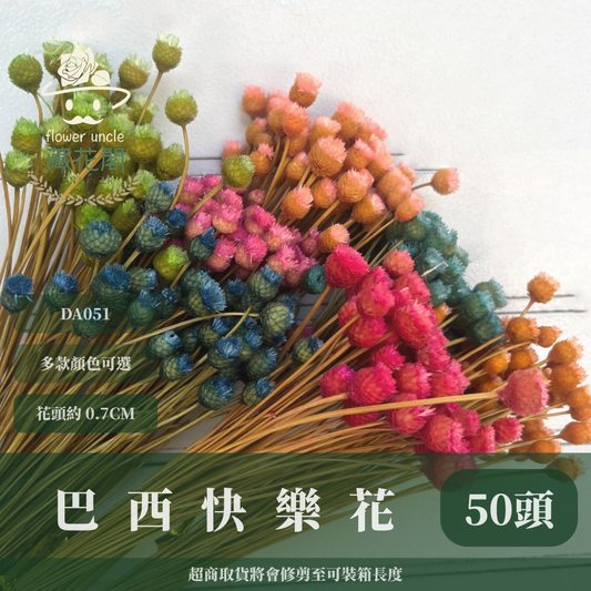 ✿ 台灣現貨 ✿ DA051 巴西快樂花