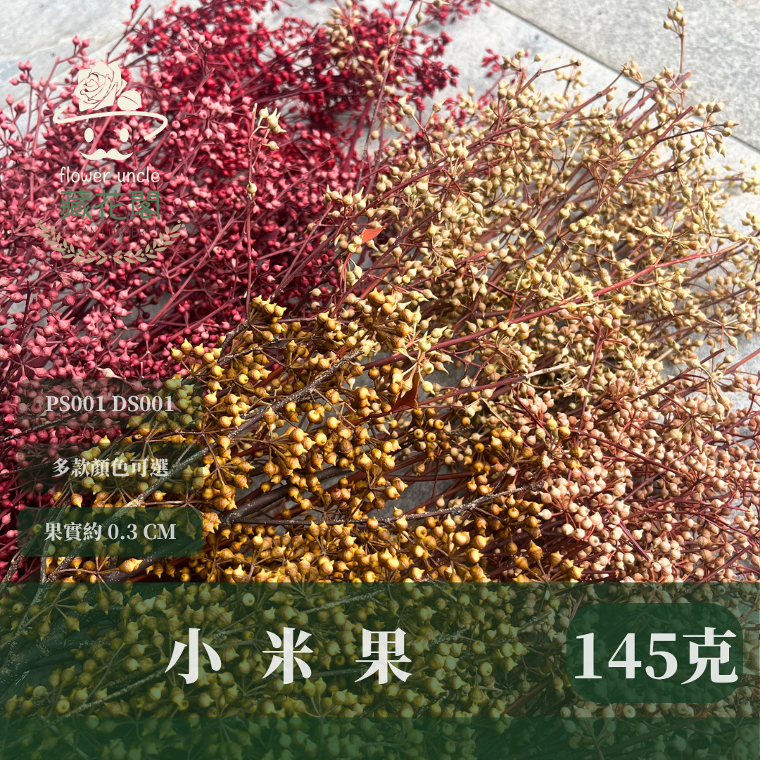 PS001 DS001 小米果 小米尤加利 約150克/包 尤加利果 桉樹果 台灣現貨