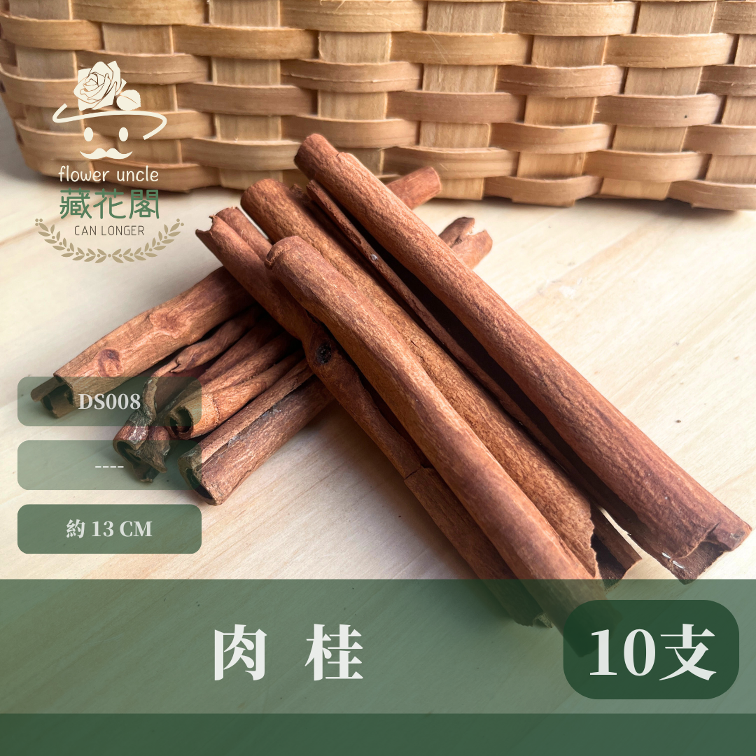 DS009 肉桂 台灣現貨 請勿食用
