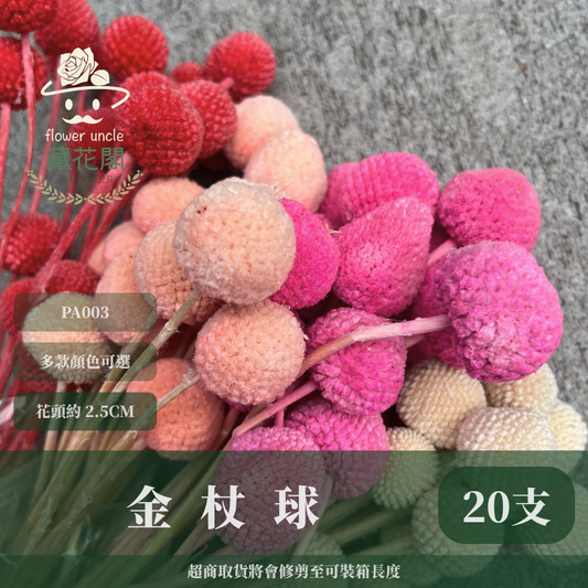 ✿ 台灣現貨 ✿ PA003 金杖球