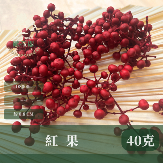 DS008s 小份量紅果 約40克 聖誕節花材