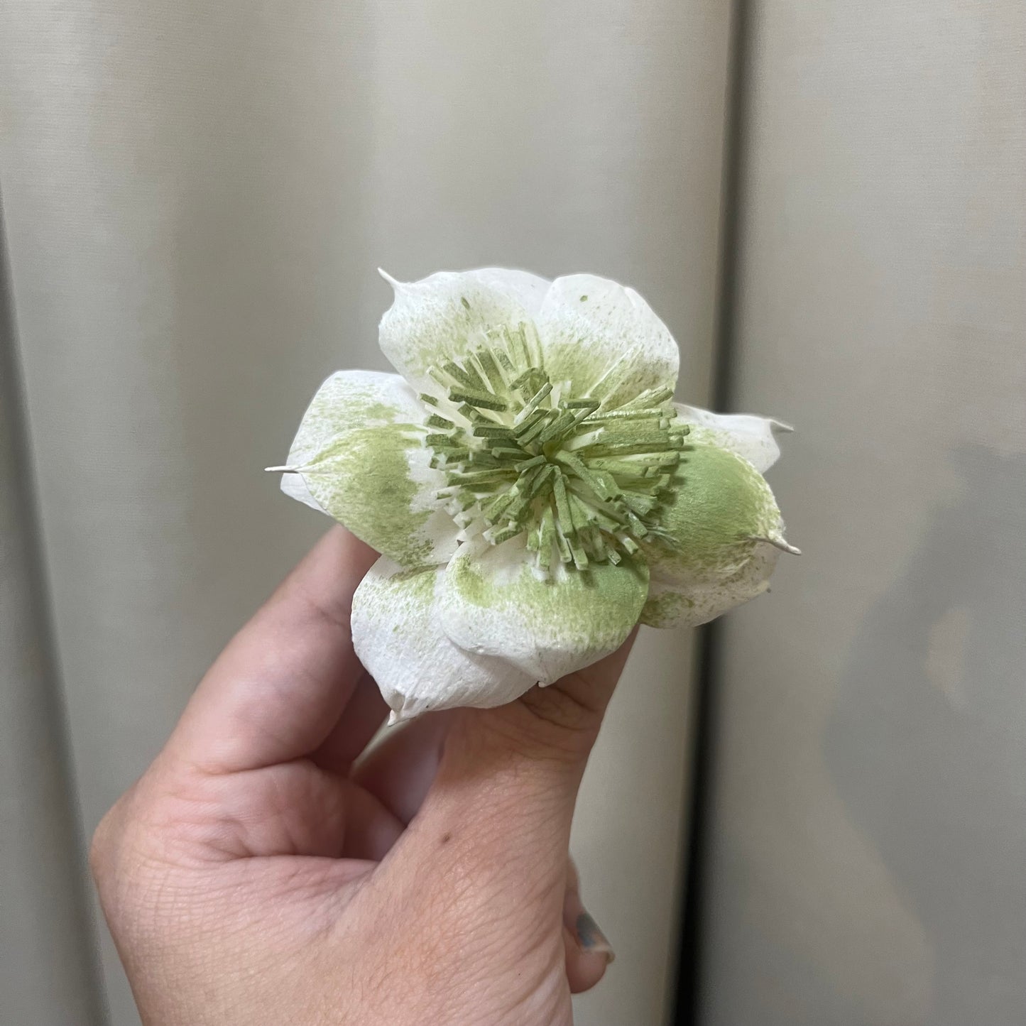 ✿ 台灣現貨 ✿ S-AC 索拉花 6CM 通草花 擴香花 水仙花