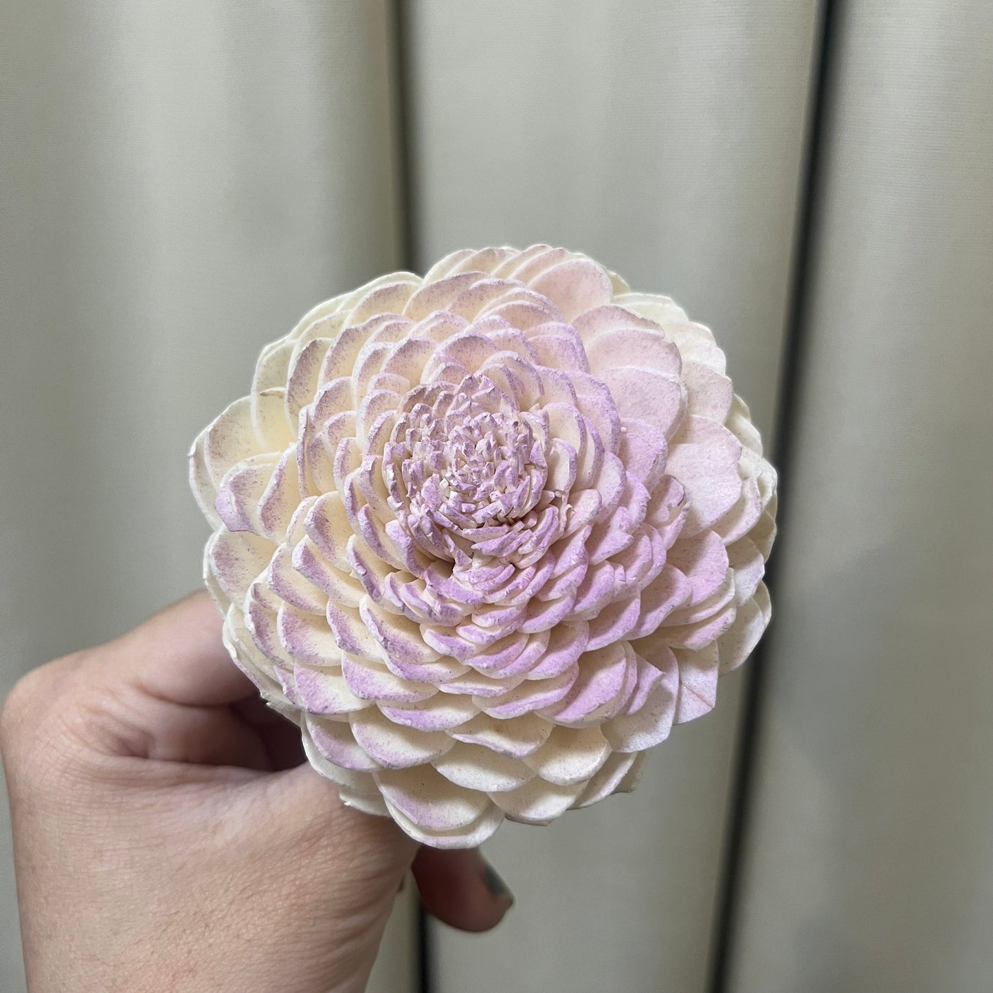 ✿ 台灣現貨 ✿ S-D 索拉花 8CM 通草花 擴香花 太陽玫瑰