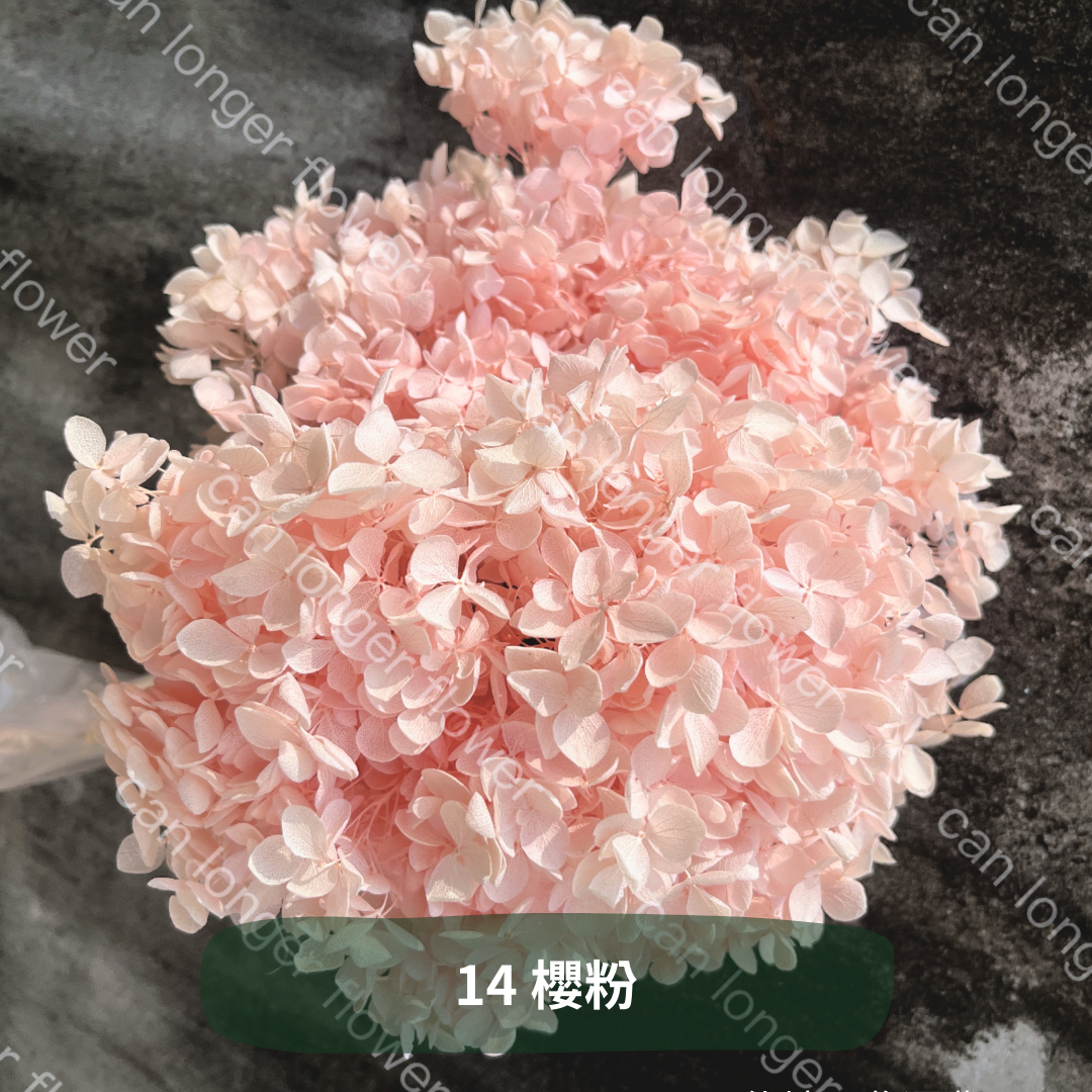 ✿ 台灣現貨 ✿ PF005 安娜繡球 單支 繡球花 繡球 紫陽花