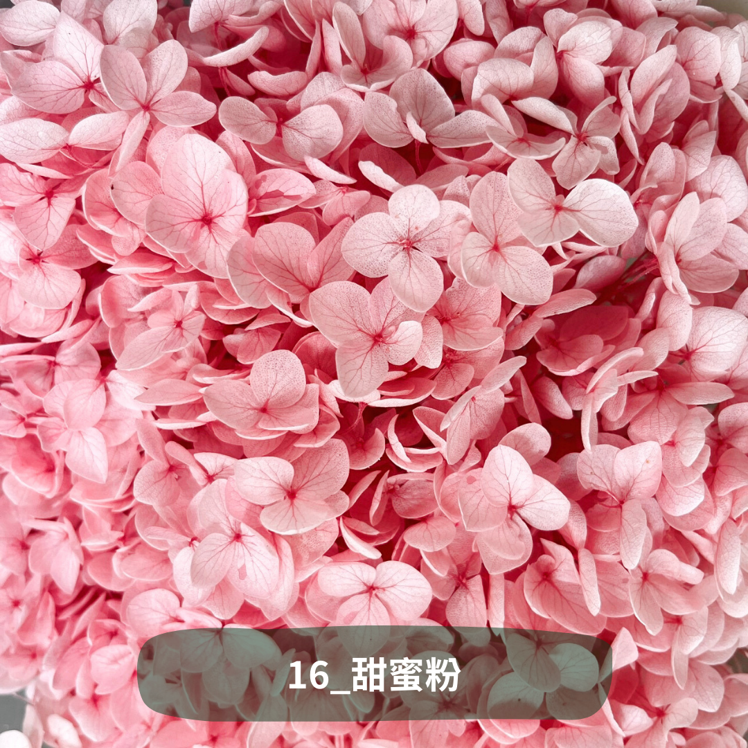 ✿ 台灣現貨 ✿ PF005 安娜繡球 單支 繡球花 繡球 紫陽花