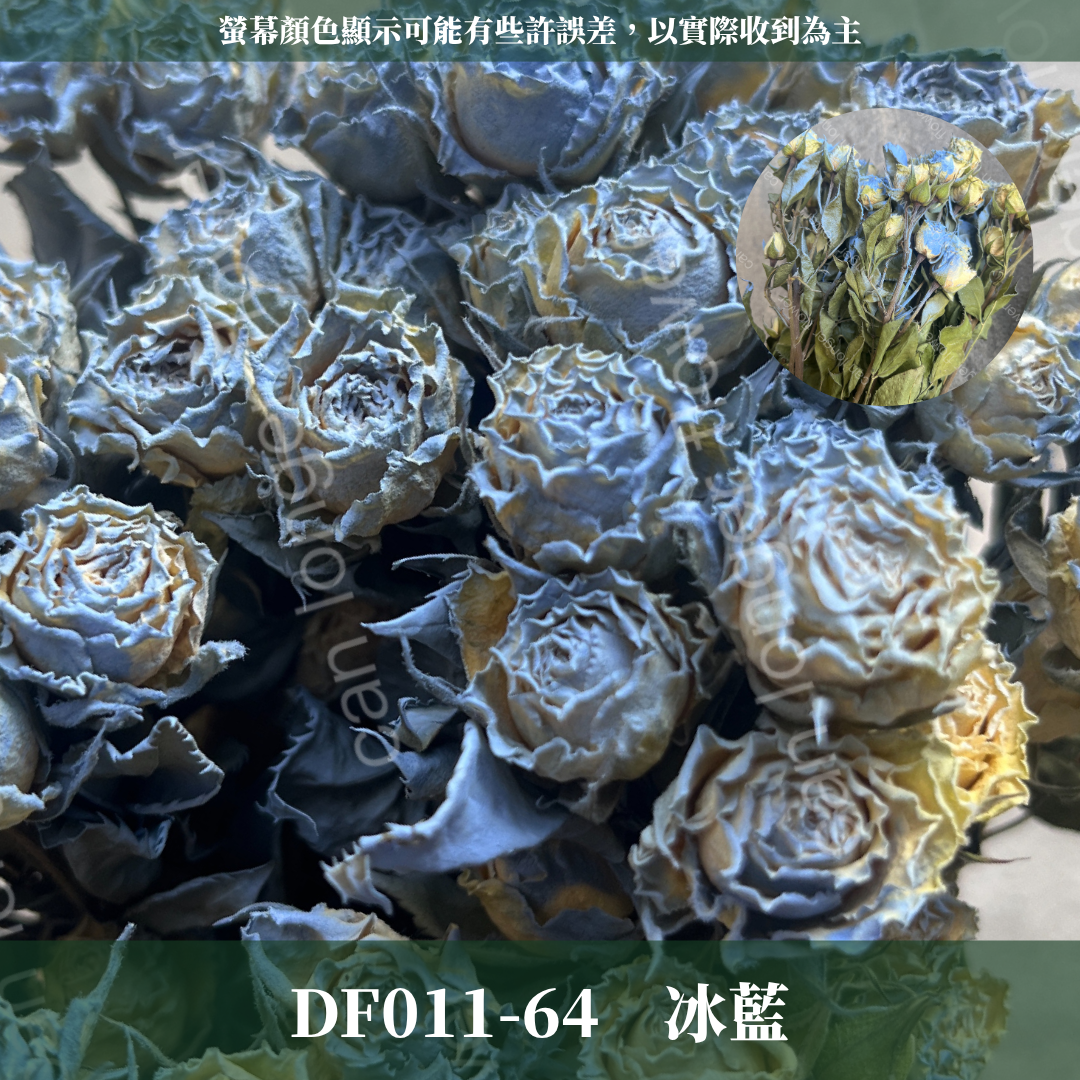 DF011 乾燥玫瑰 約30頭