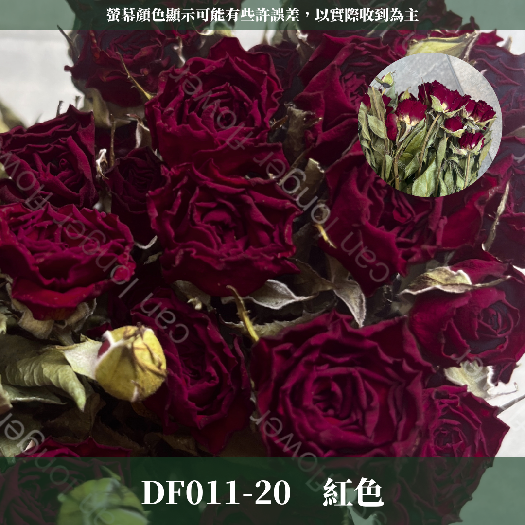 DF011 乾燥玫瑰 約30頭
