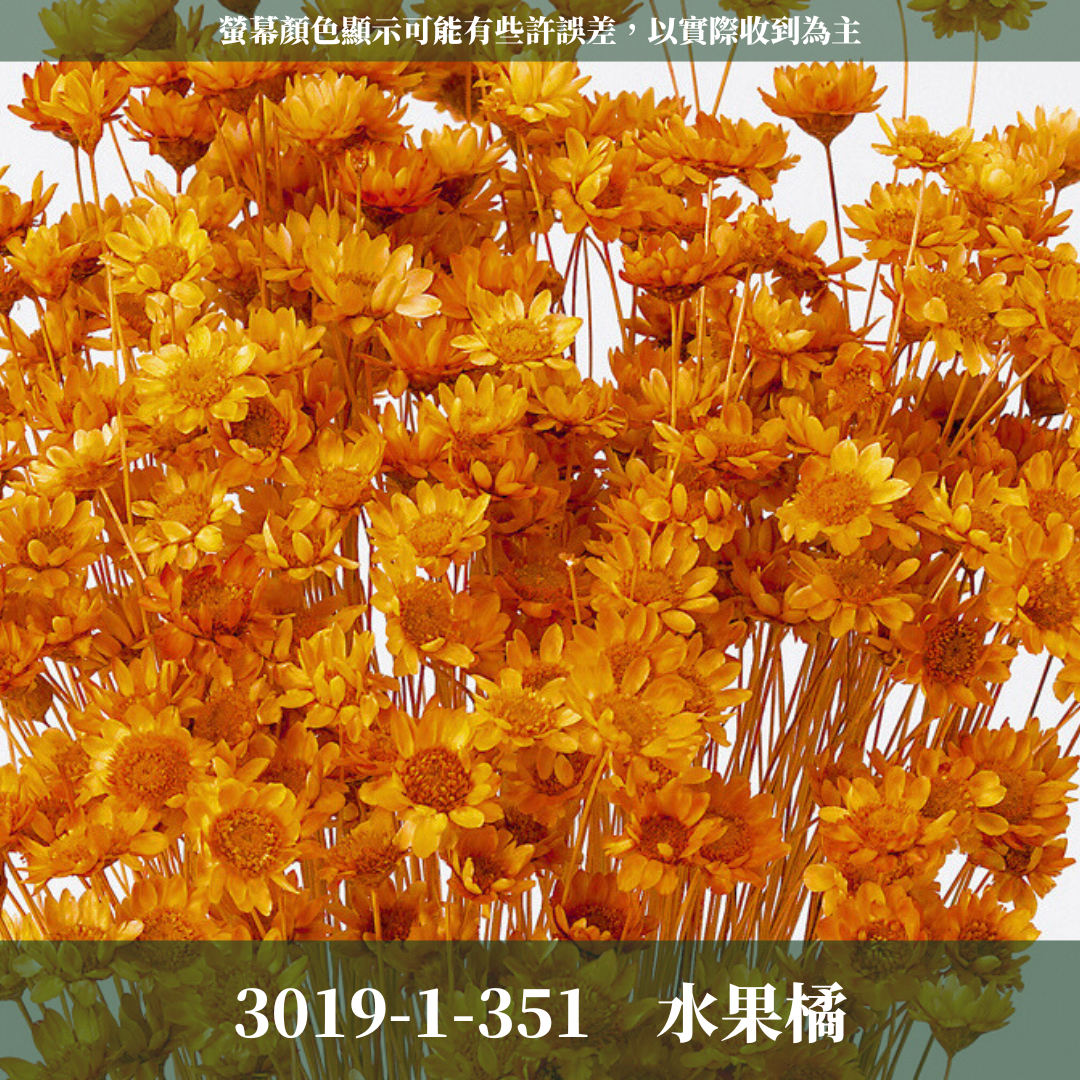 30191 日本小星花 原裝18克 スターフラワー・ブロッサム 日本大地農園 日本進口