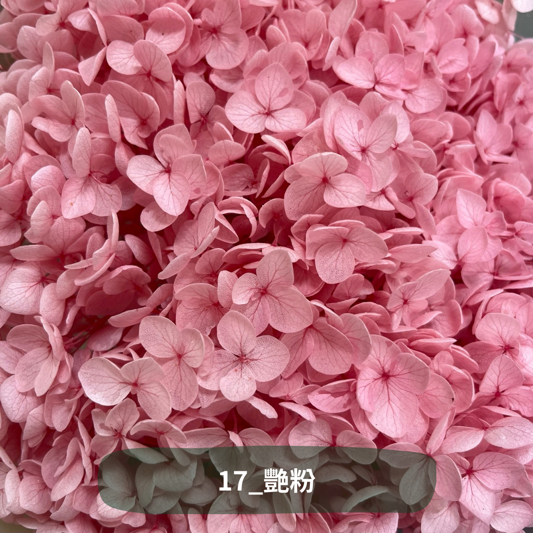 ✿ 台灣現貨 ✿ PF005 安娜繡球 單支 繡球花 繡球 紫陽花