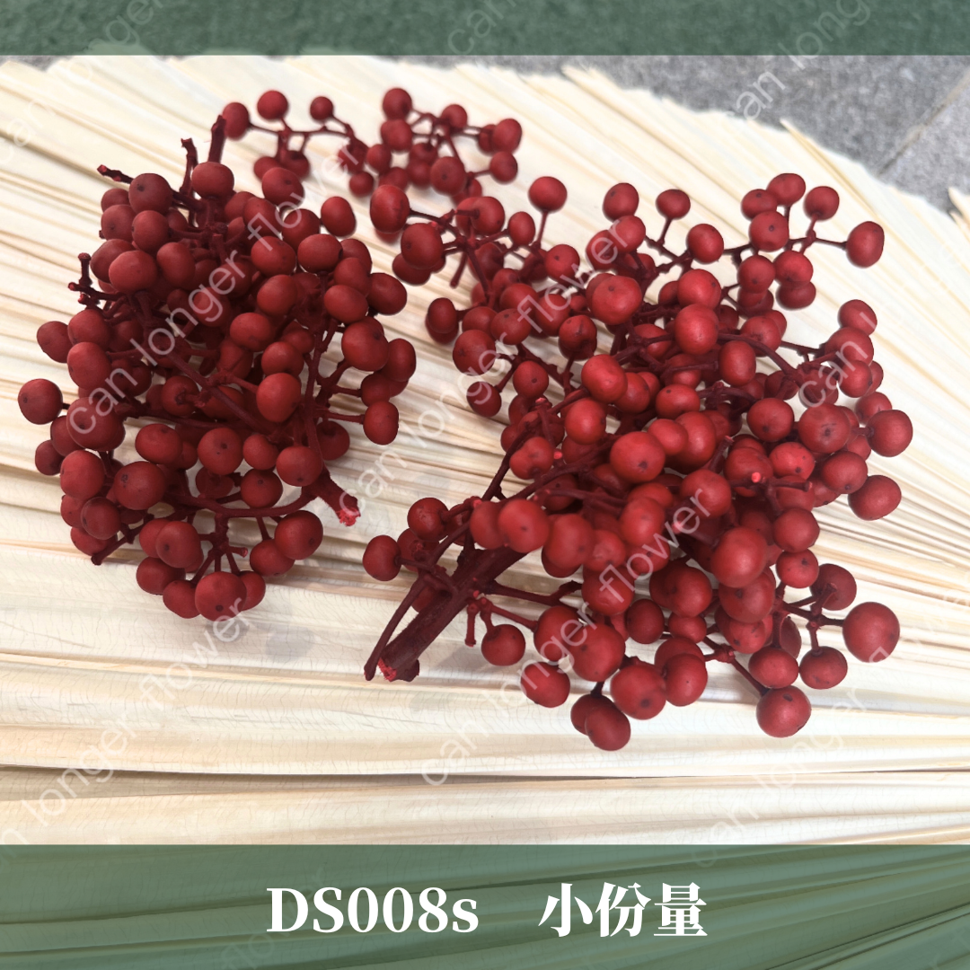 DS008s 小份量紅果 約40克 聖誕節花材