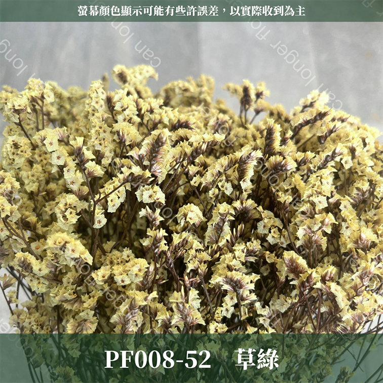 PF008水晶花 原裝 台灣現貨