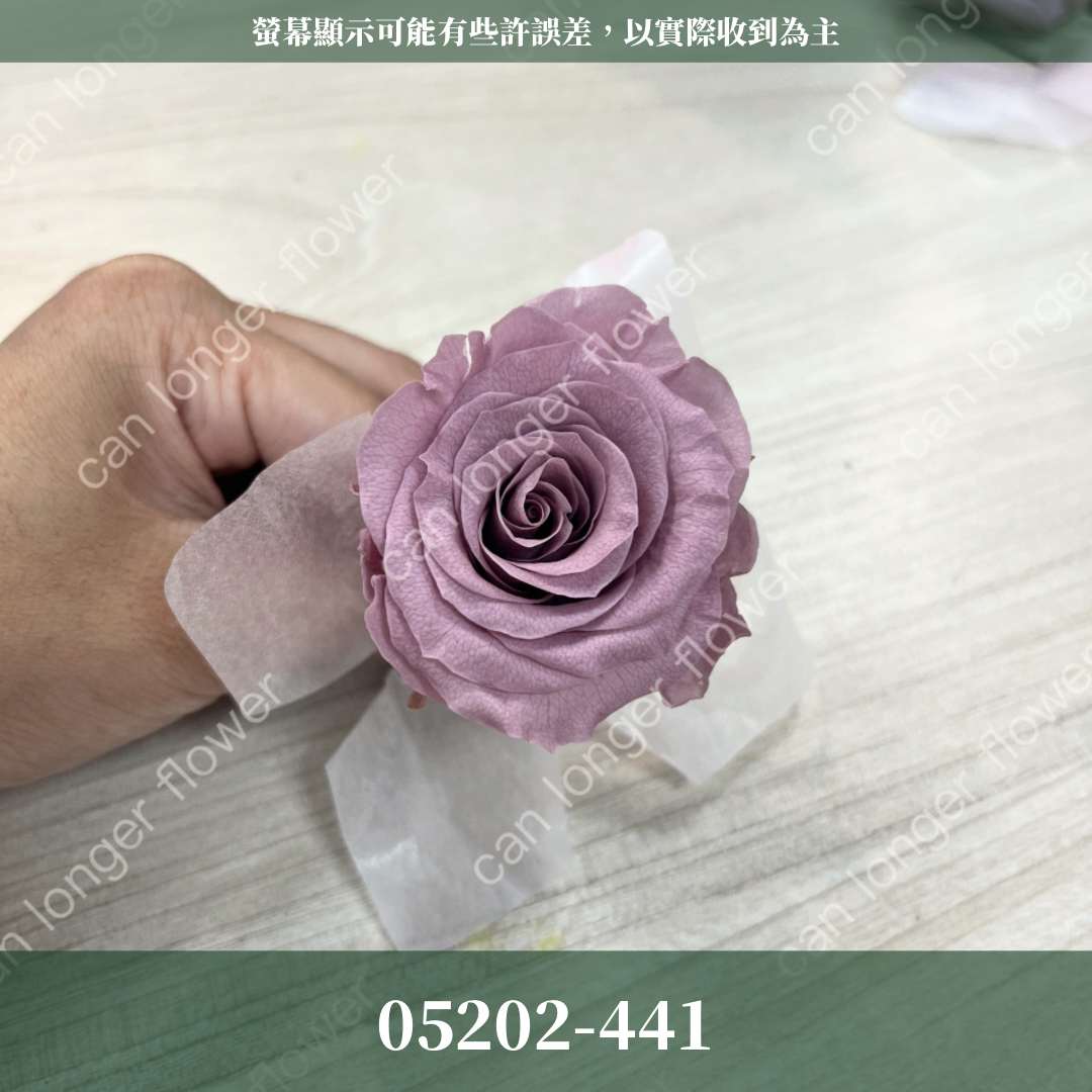 05202 大玫瑰