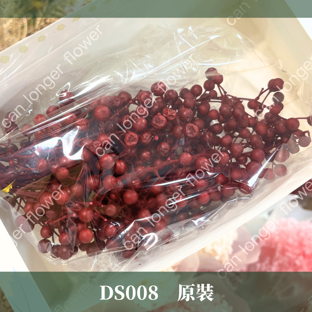 DS008 原裝紅果 約100克 聖誕節花材
