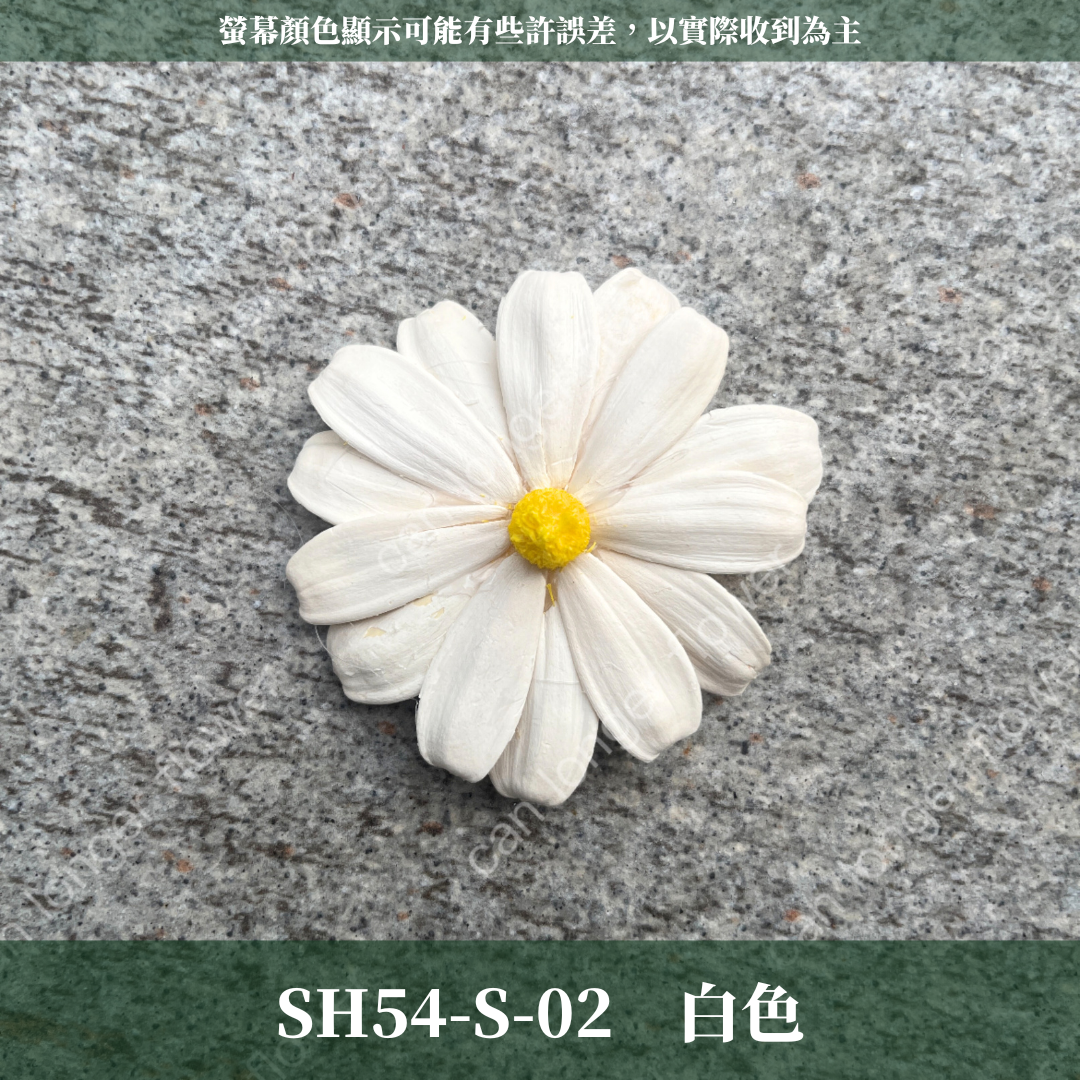 SH54-S 小雛菊花頭 單朵 台灣現貨