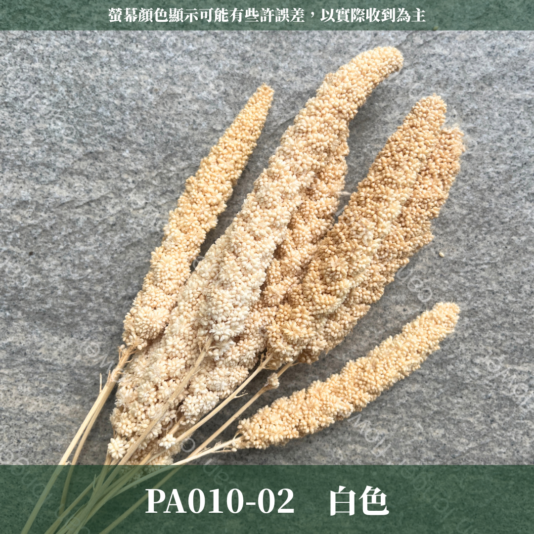 PA010s 米穗 小份量 粟米穗 小米穗 紅米穗 黃米穗 小份量 台灣現貨