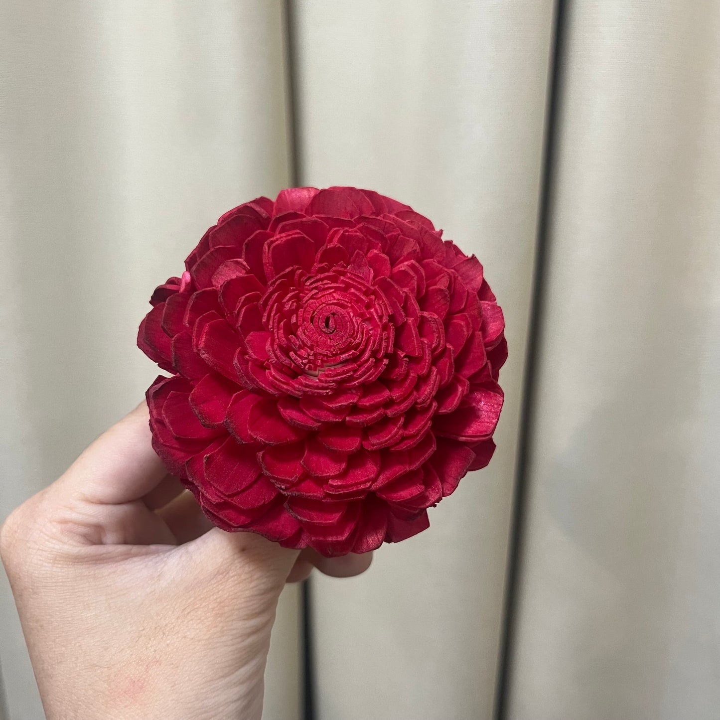 ✿ 台灣現貨 ✿ S-D 索拉花 8CM 通草花 擴香花 太陽玫瑰