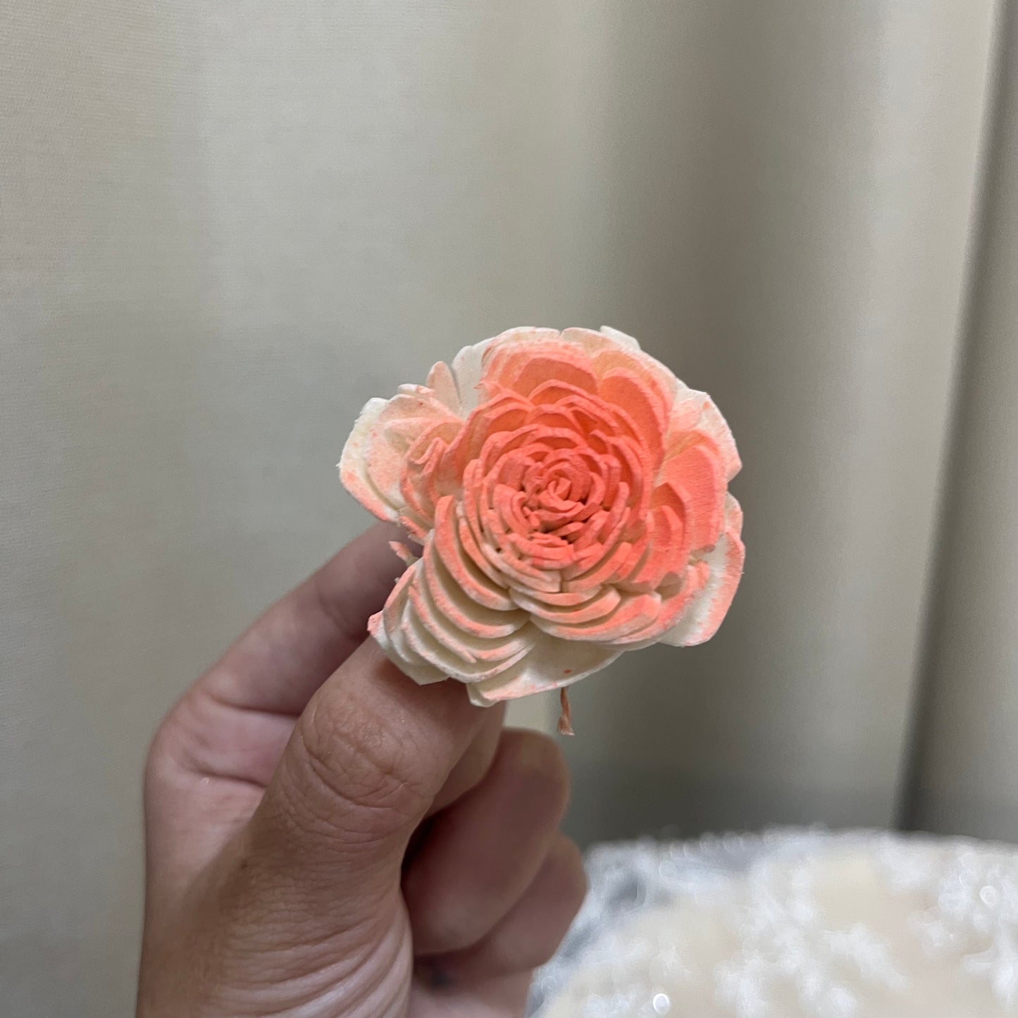 ✿ 台灣現貨 ✿ S-b 索拉花 4CM 通草花 擴香花 太陽玫瑰 日本大地 太陽菊