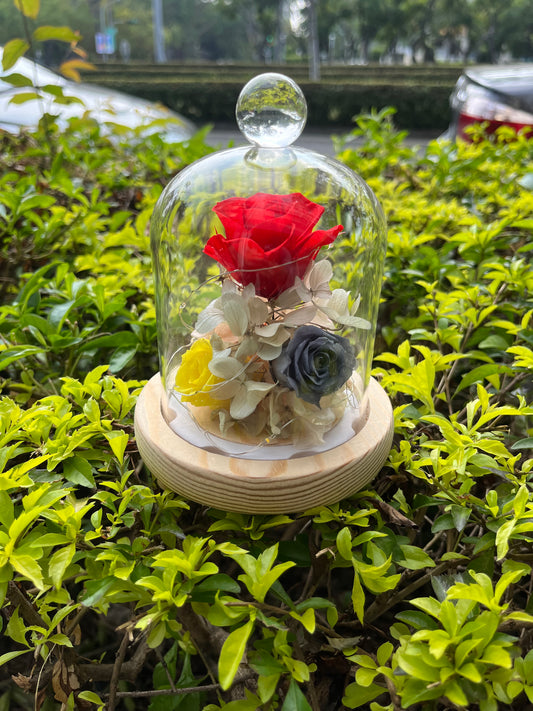 gift-g010永生花小罩盅s