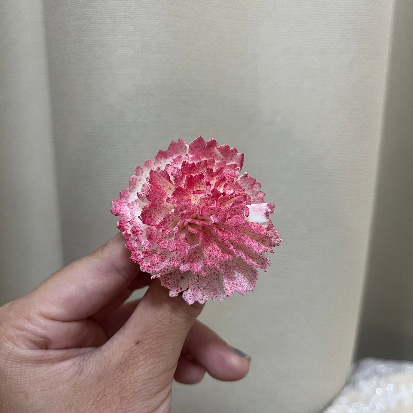 ✿ 台灣現貨 ✿ S-AE 索拉花 4CM 通草花 擴香花 康乃馨 小菊
