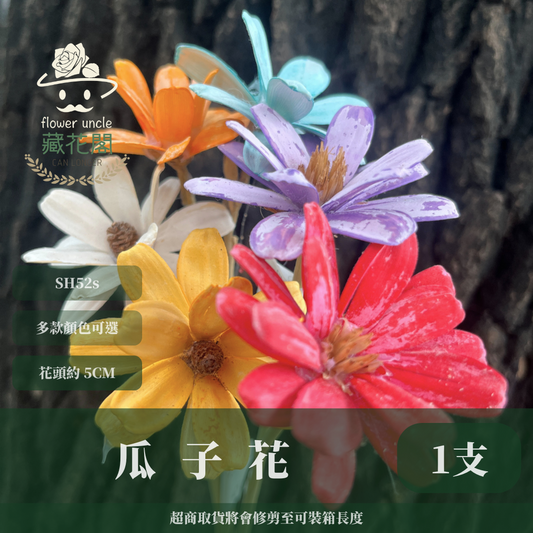✿ 台灣現貨 ✿ SH52 瓜子花 單朵 小份量