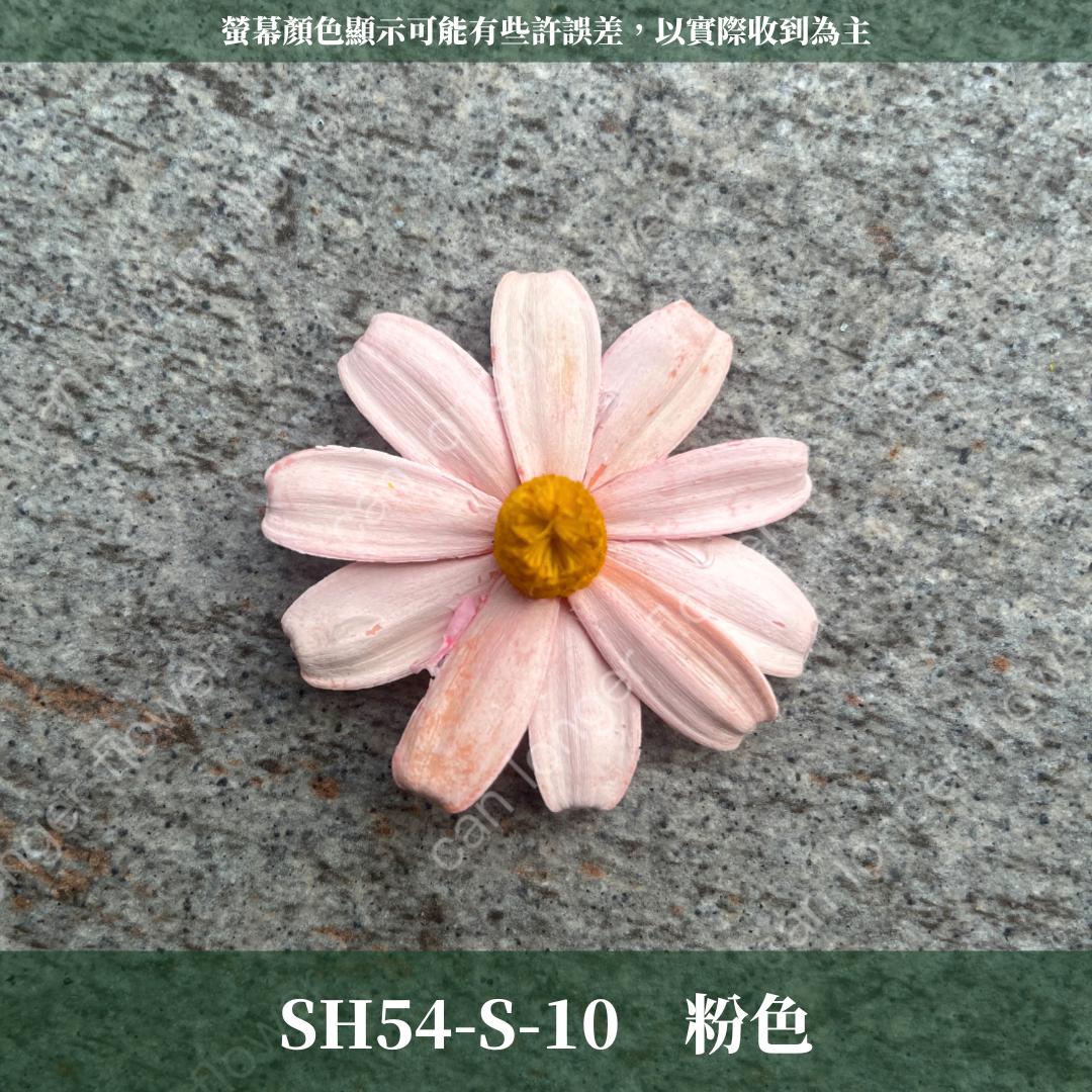 SH54-S 小雛菊花頭 單朵 台灣現貨