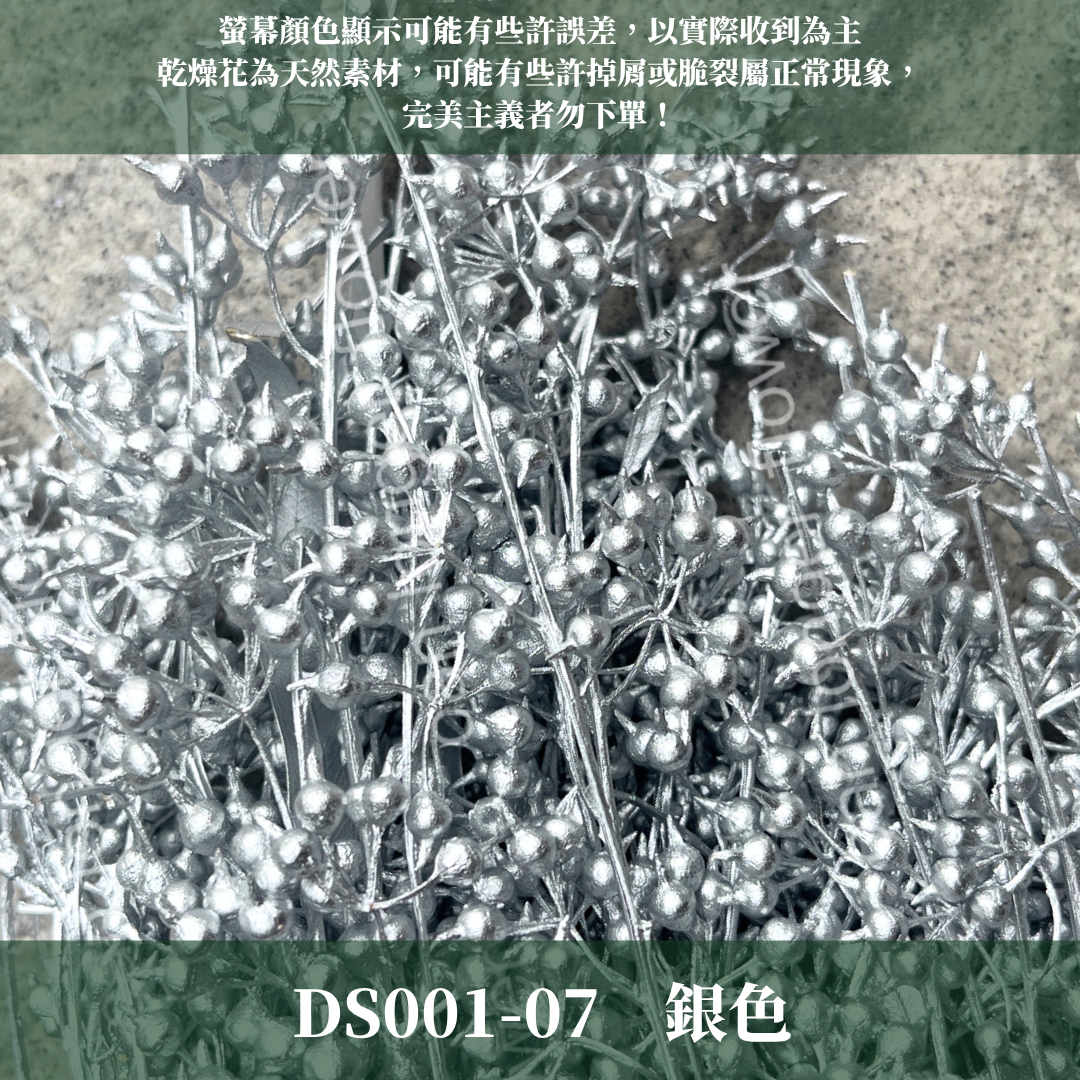 PS001 DS001 小米果 小米尤加利 約150克/包 尤加利果 桉樹果 台灣現貨