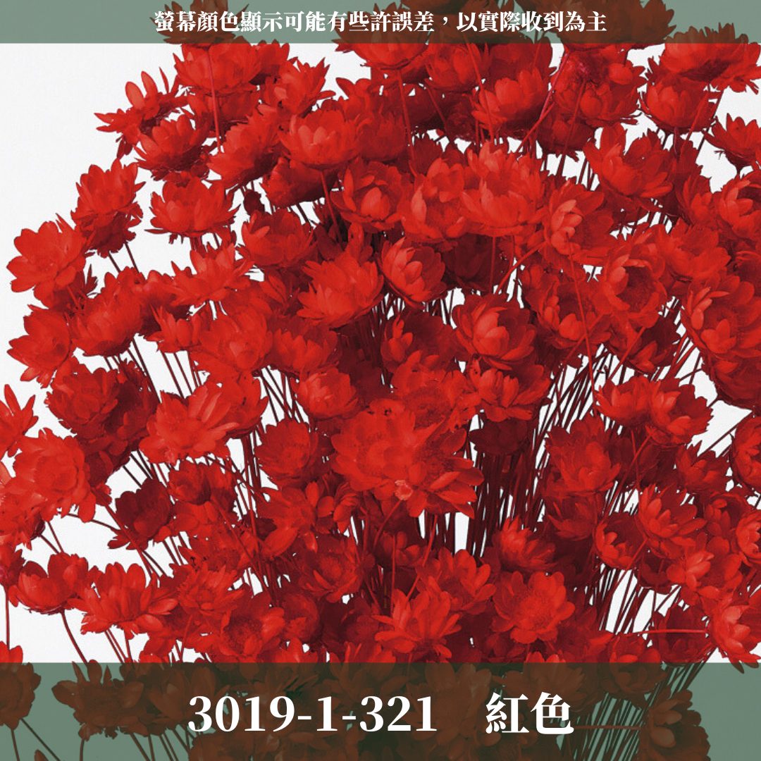 30191 日本小星花 原裝18克 スターフラワー・ブロッサム 日本大地農園 日本進口