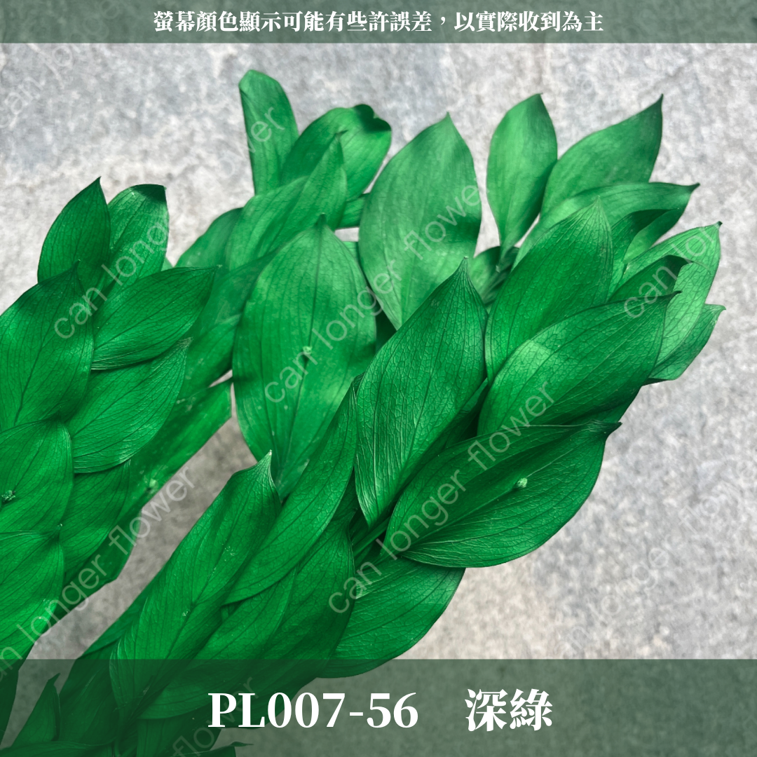 PL007 小玉竹葉 玉竹葉 桔葉 永生 原裝 台灣現貨