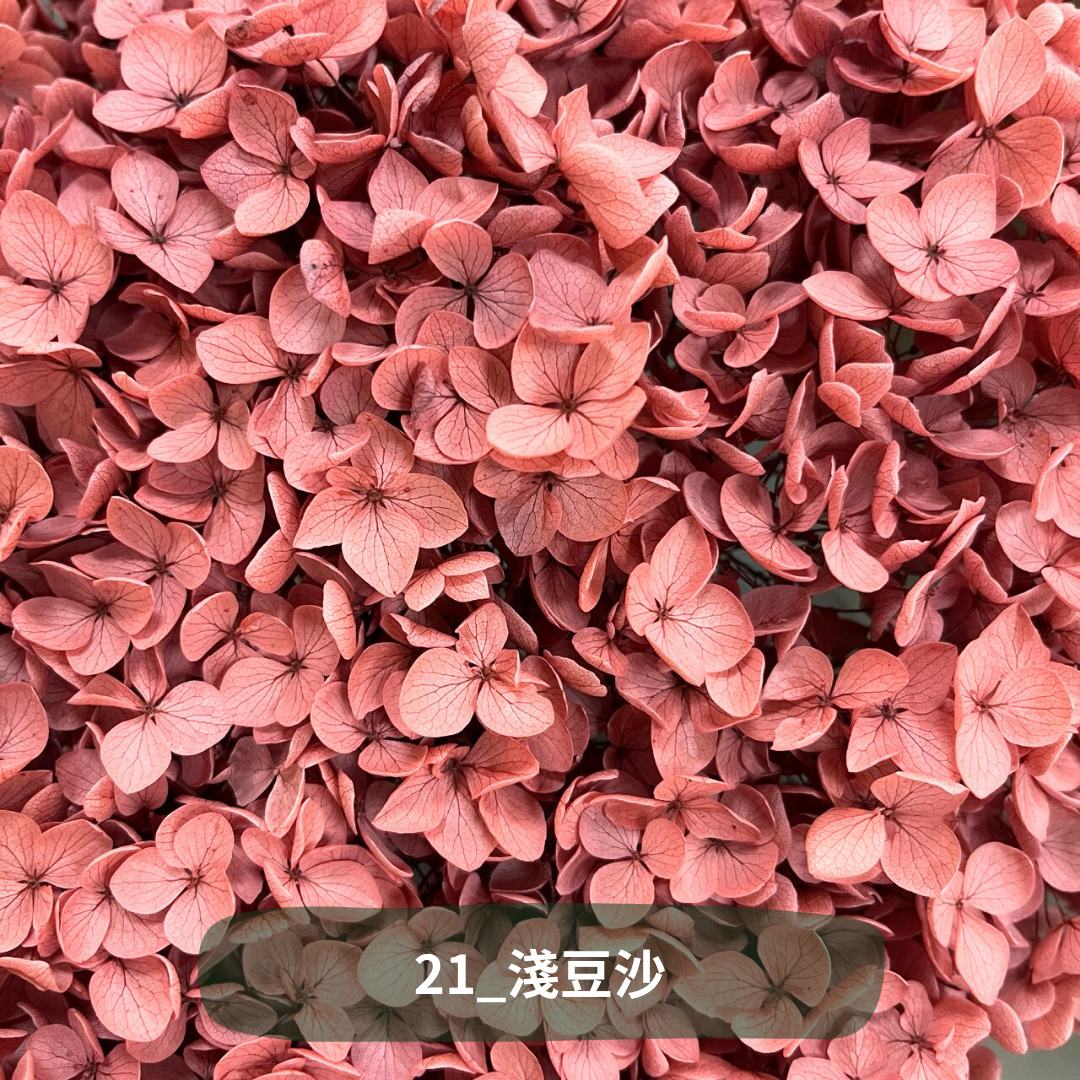 ✿ 台灣現貨 ✿ PF005 安娜繡球 單支 繡球花 繡球 紫陽花