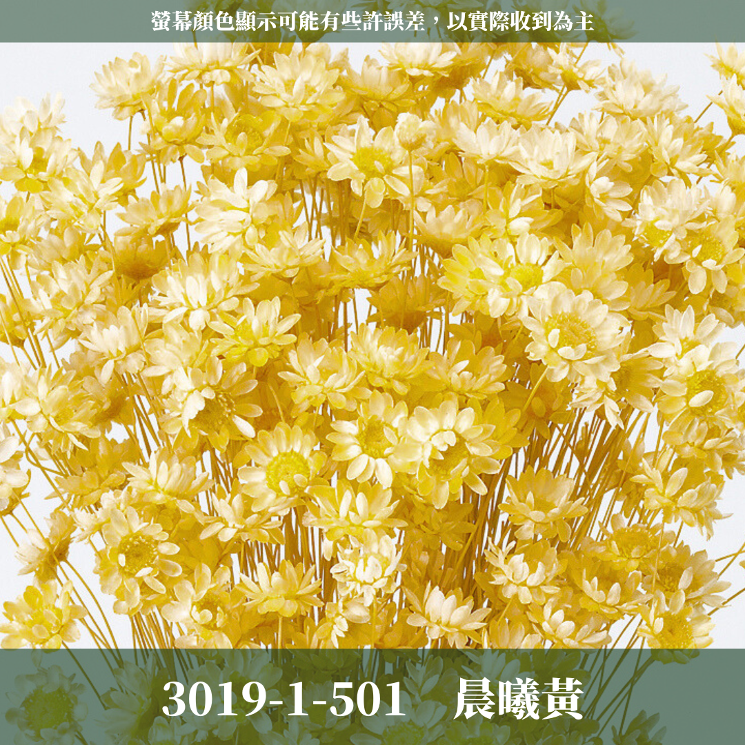 30191 日本小星花 原裝18克 スターフラワー・ブロッサム 日本大地農園 日本進口