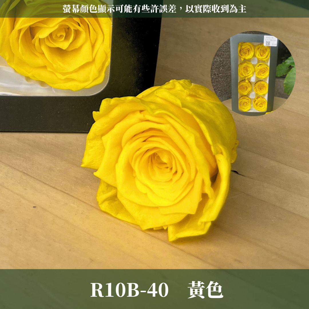 R08Bs B級八輪永生玫瑰 5cm玫瑰 單朵 永生花 不凋花 台灣現貨