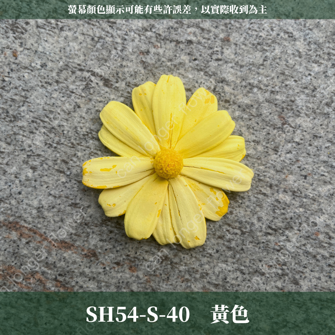 SH54-S 小雛菊花頭 單朵 台灣現貨