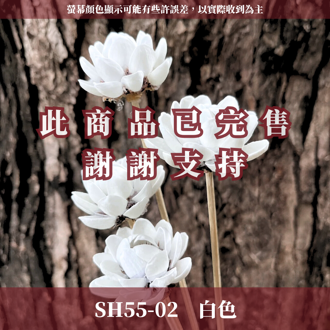 SH55 木蓮花 原裝 10支裝 台灣現貨