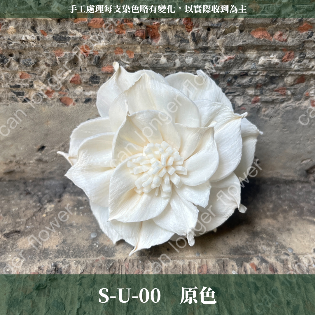 ✿ 台灣現貨 ✿ S-U 索拉花 6CM 通草花 擴香花