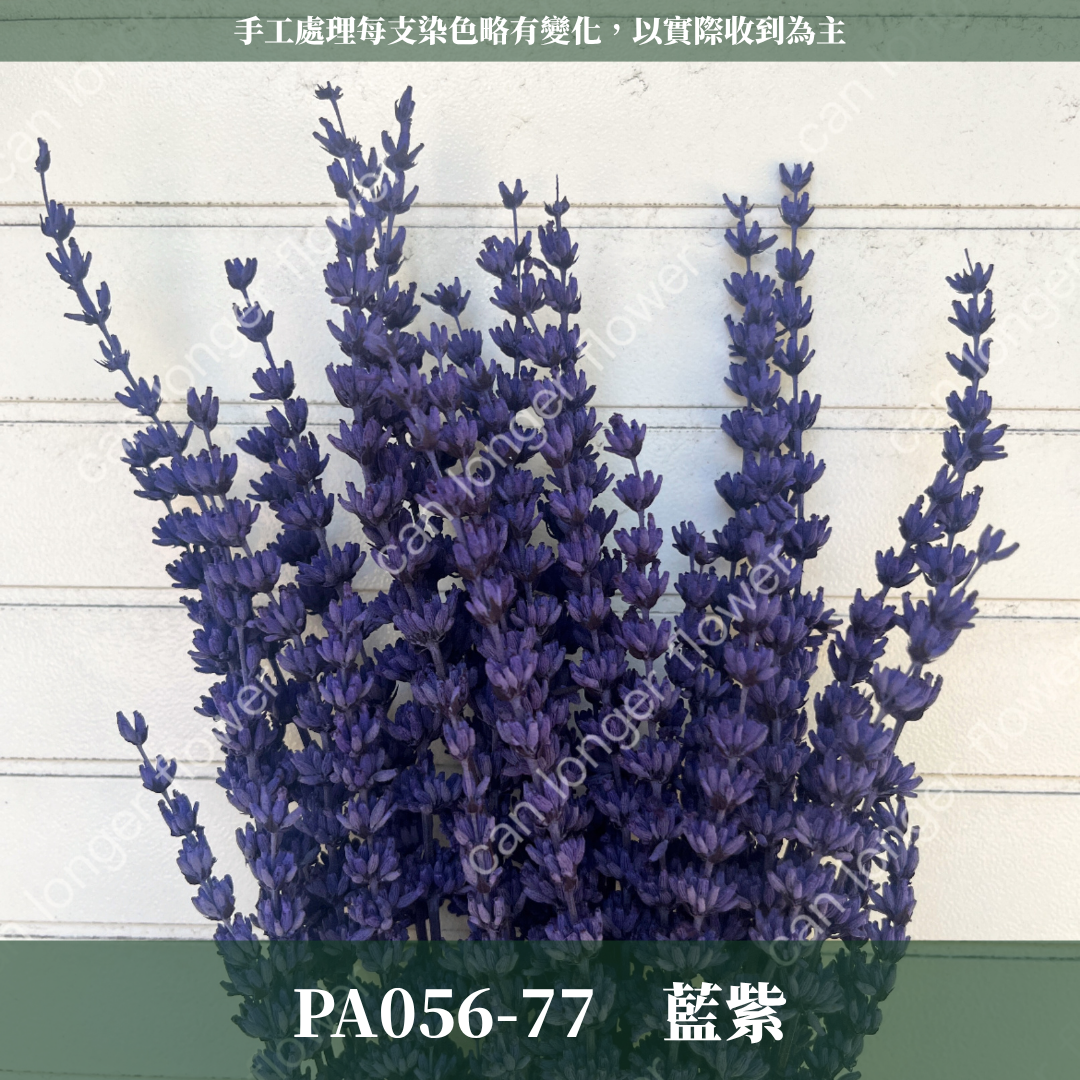 ✿ 台灣現貨 ✿ PA056 薰衣草 原裝