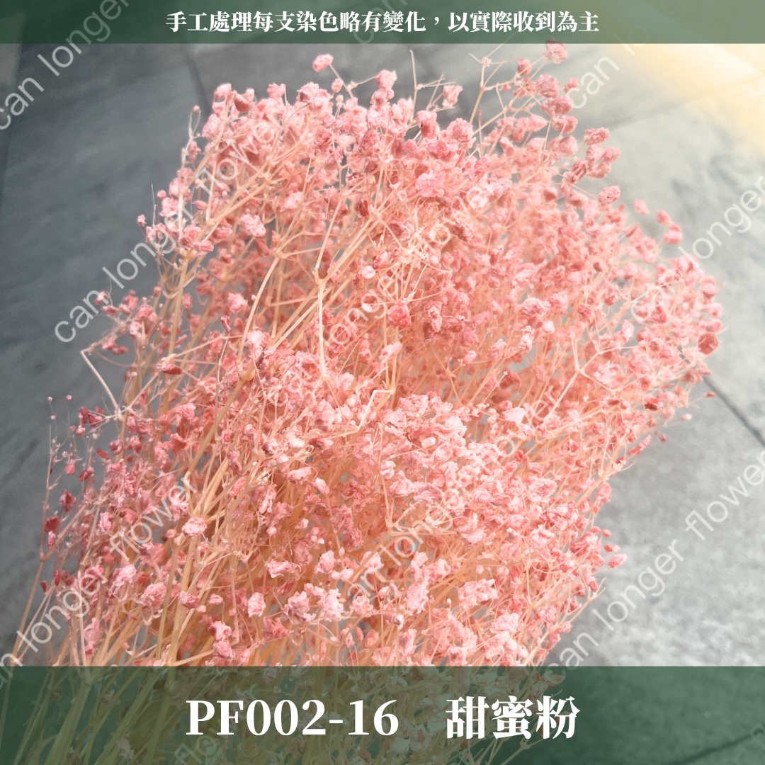 ✿ 台灣現貨 ✿ PF002 夢幻星