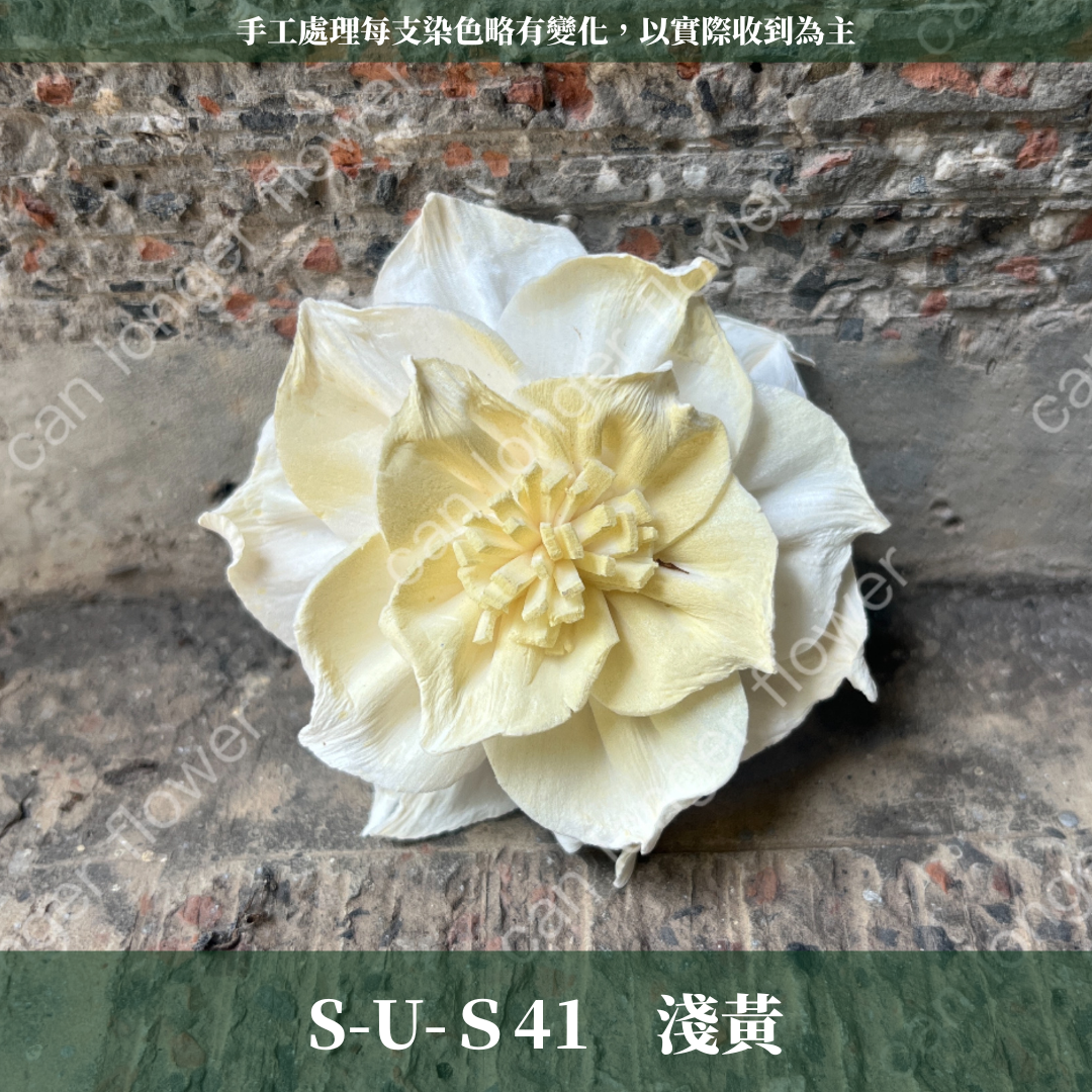 ✿ 台灣現貨 ✿ S-U 索拉花 6CM 通草花 擴香花