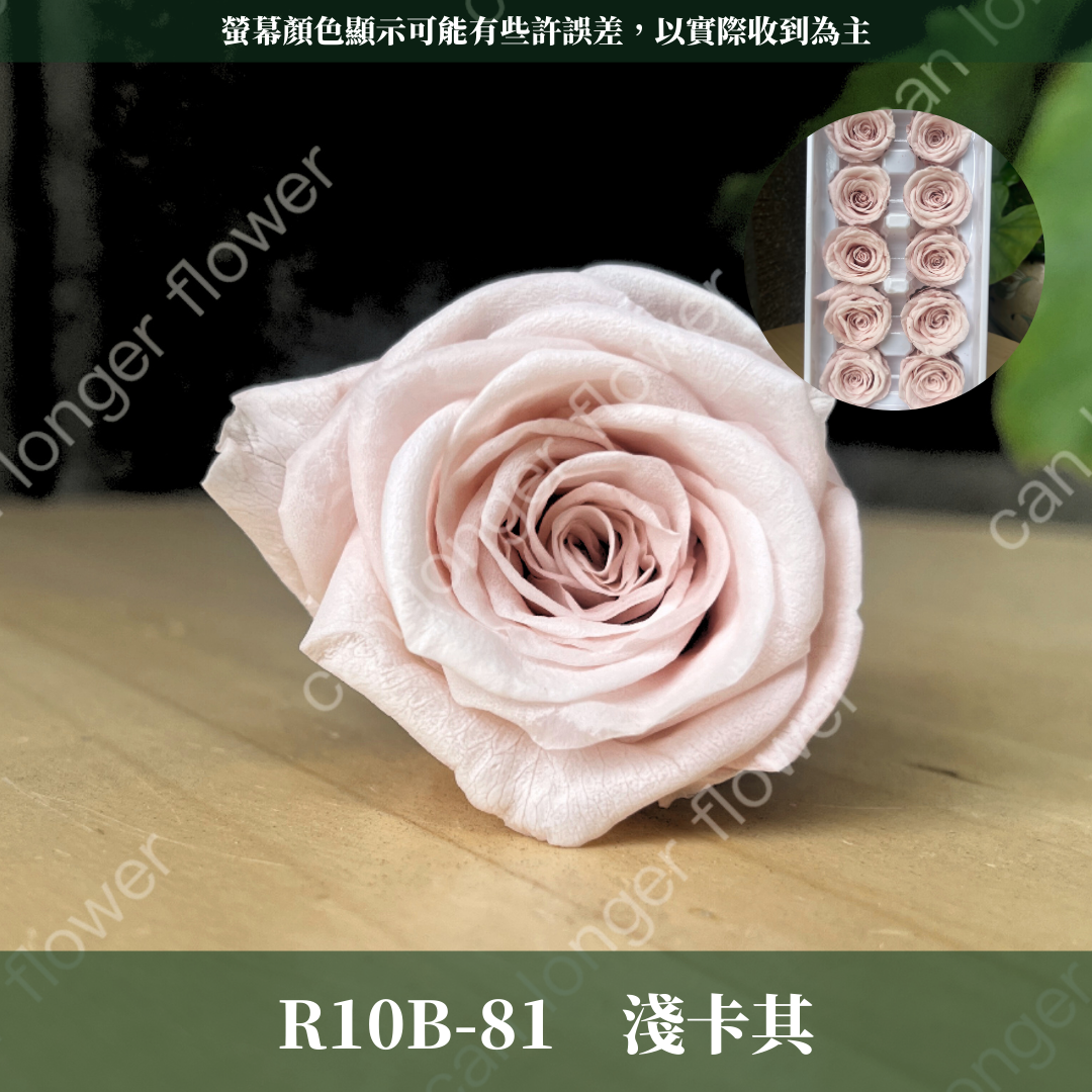R10Bs B級永生玫瑰 單朵 4cm玫瑰 永生花 不凋花 台灣現貨