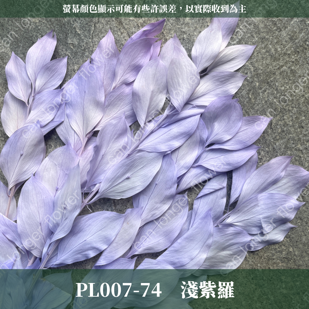 PL007 小玉竹葉 玉竹葉 桔葉 永生 原裝 台灣現貨