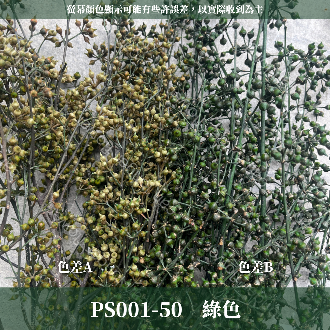 PS001 DS001 小米果 小米尤加利 約150克/包 尤加利果 桉樹果 台灣現貨