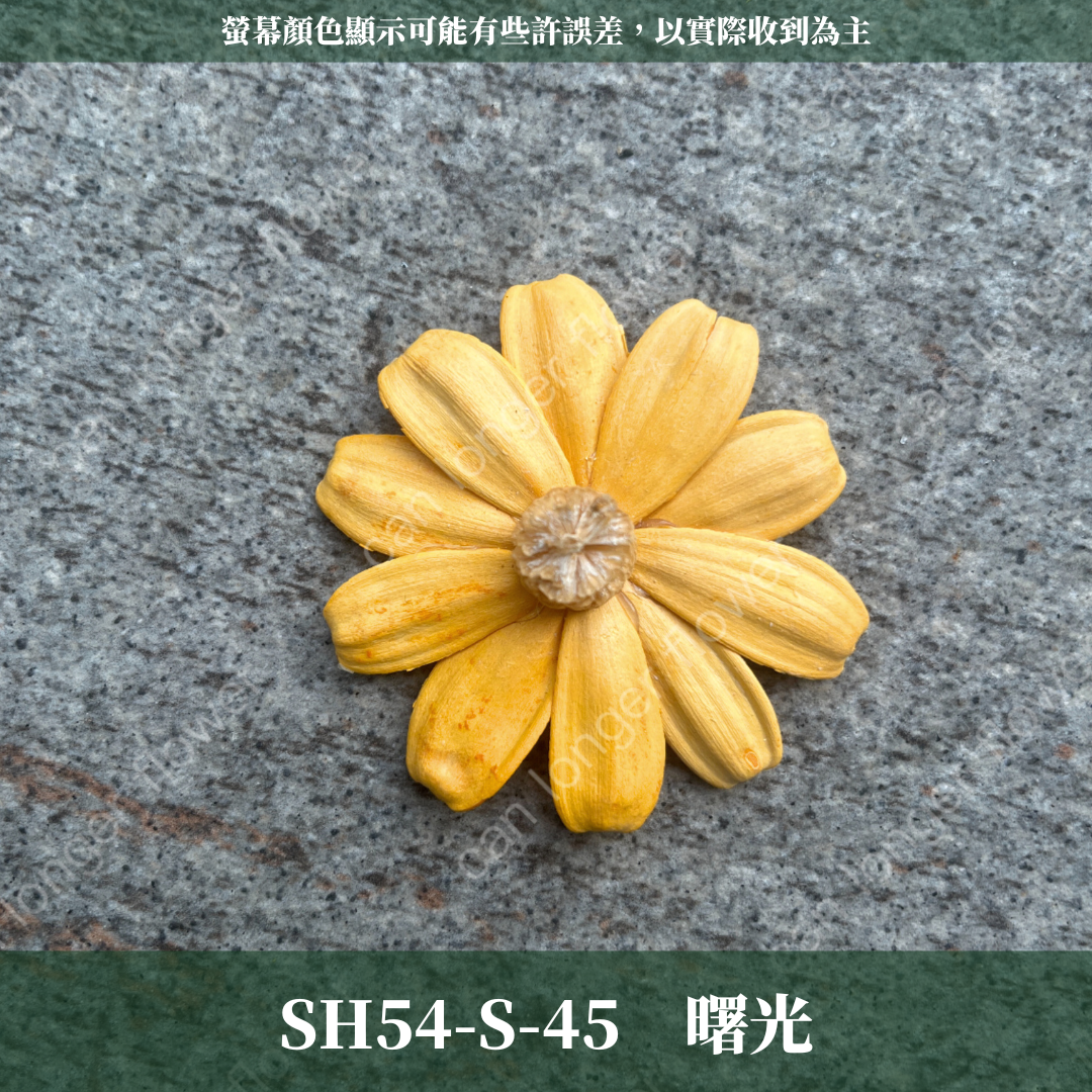 SH54-S 小雛菊花頭 單朵 台灣現貨
