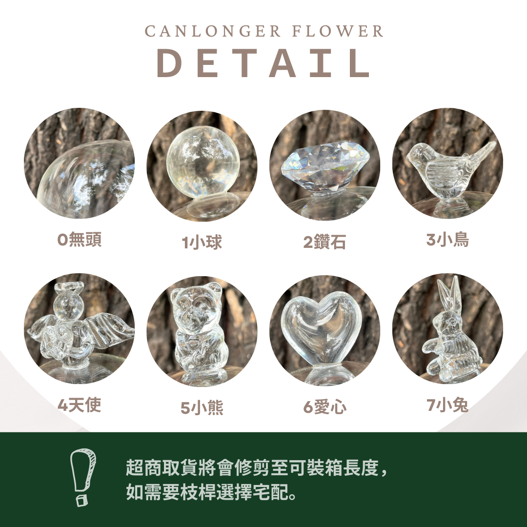 ✿ 台灣現貨 ✿ CG-M 罩盅M