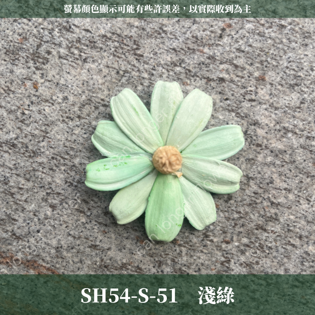 SH54-S 小雛菊花頭 單朵 台灣現貨