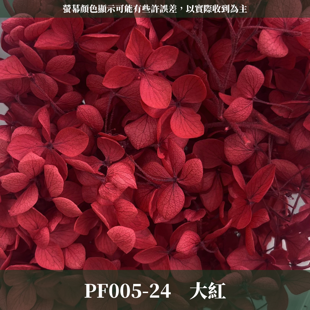 PF005-S 安娜繡球(約10克）盒裝 繡球 紫陽花 台灣現貨