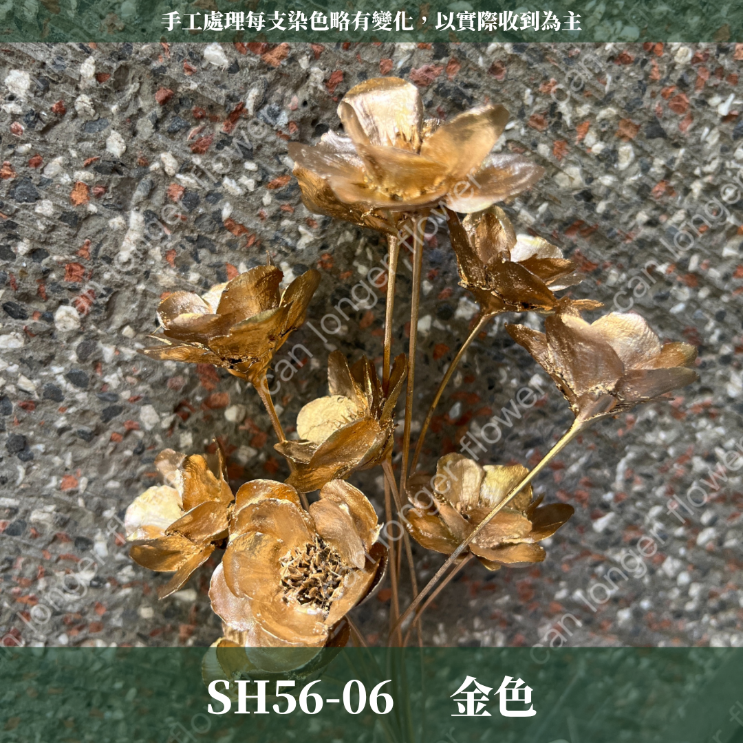 ✿ 台灣現貨 ✿ SH56 銀連花 原裝 10支裝 手工花