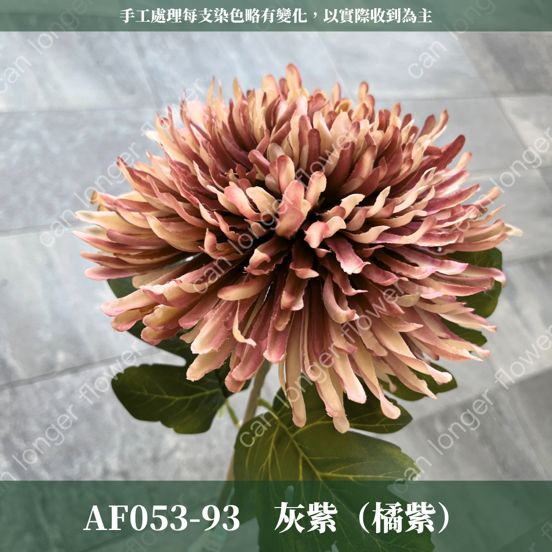AF053 仿真龍爪菊(1頭) 仿真花 台灣現貨