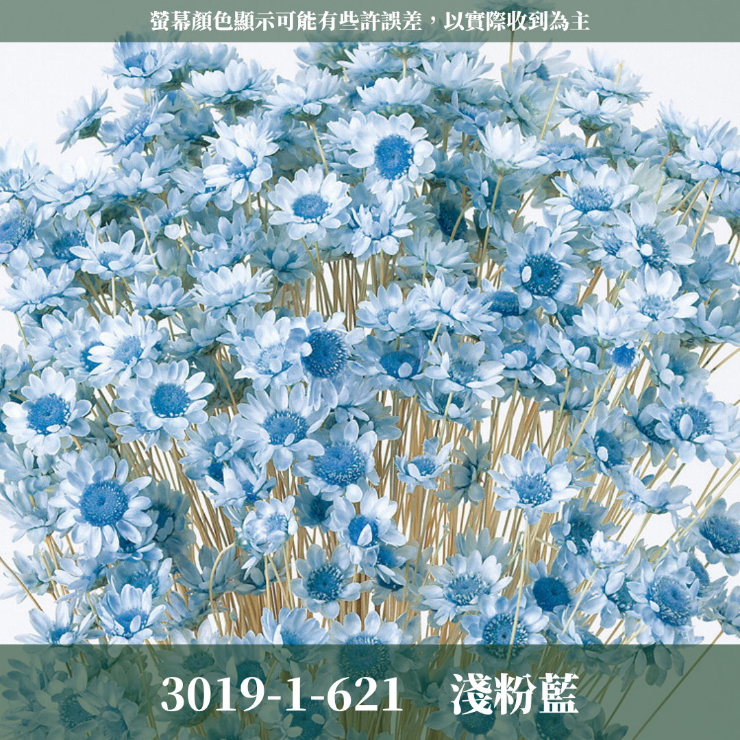 30191 日本小星花 原裝18克 スターフラワー・ブロッサム 日本大地農園 日本進口