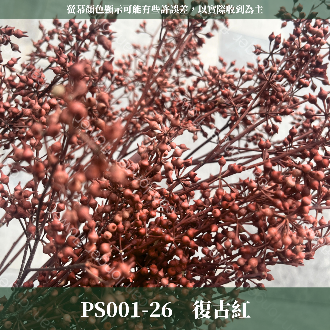 PS001 DS001 小米果 小米尤加利 約150克/包 尤加利果 桉樹果 台灣現貨