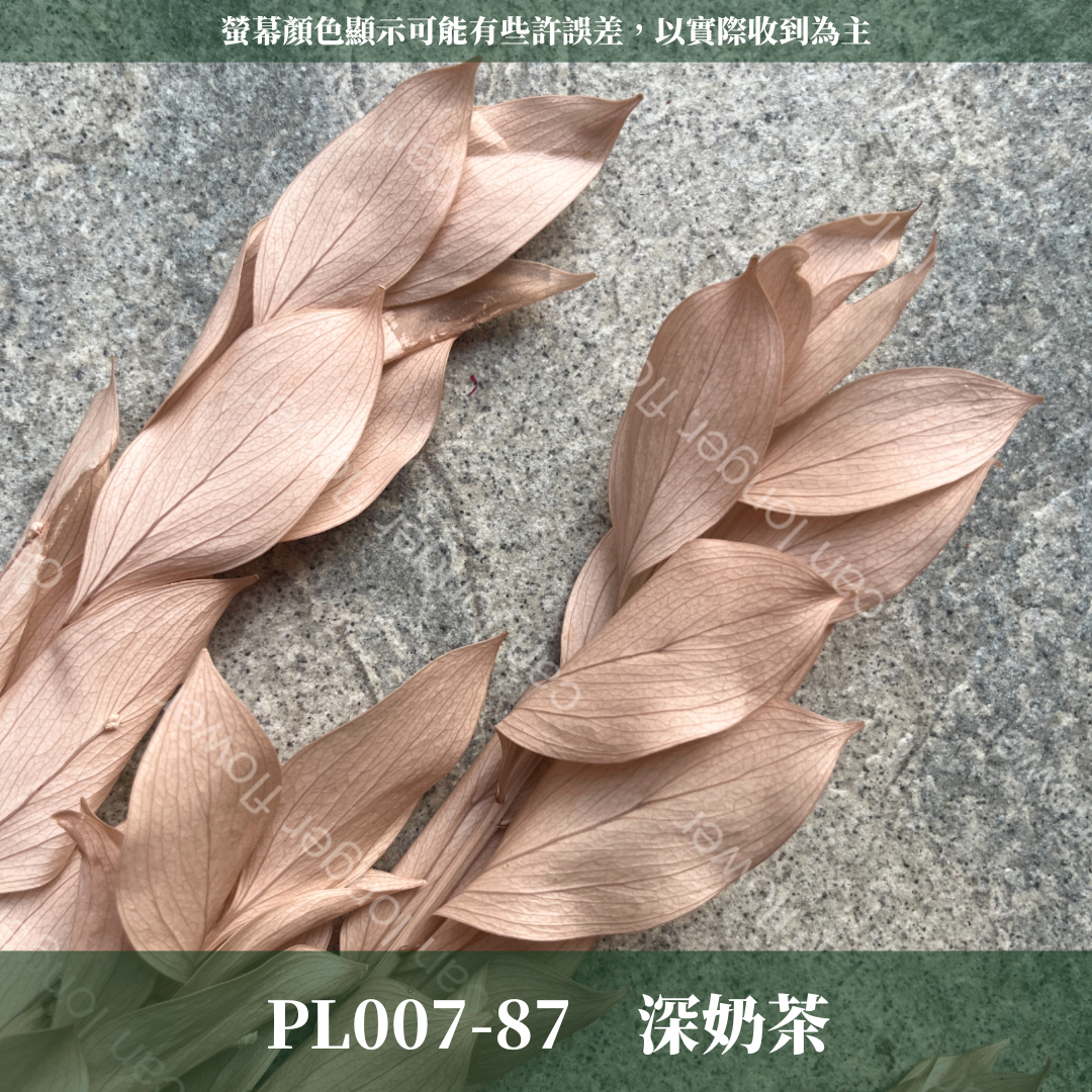 PL007 小玉竹葉 玉竹葉 桔葉 永生 原裝 台灣現貨