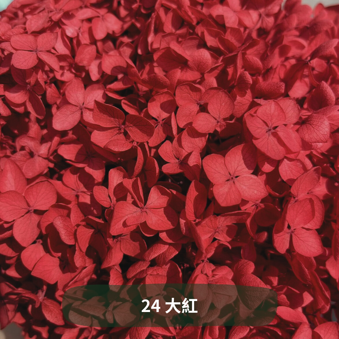 ✿ 台灣現貨 ✿ PF005 安娜繡球 單支 繡球花 繡球 紫陽花